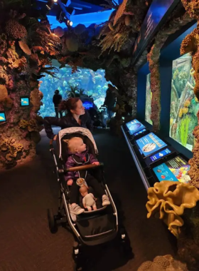 A joyful moment captured at the Chicago Children’s Museum, showing children engaged in interactive play and learning. The colorful exhibits and lively atmosphere emphasize the museum’s commitment to educational experiences for young visitors. This image highlights the importance of creativity and exploration in childhood development.