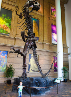 Dinosaur_Museum_Exhibit.jpg An impressive exhibit at a dinosaur museum featuring a large T-Rex skeleton. The image captures the awe-inspiring display of prehistoric life, emphasizing the museum's educational focus on paleontology.