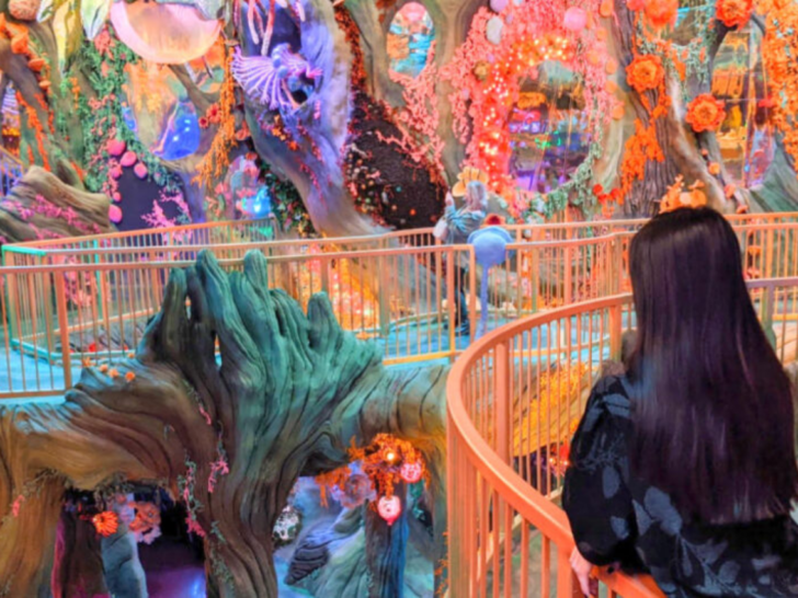 Discover Denver’s Best: 15 Must-Do Things for Every Tourist