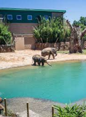 Houston Skyline at Night "Houston's iconic skyline illuminated at night, featuring modern high-rise buildings and a bright, vibrant cityscape under a dark sky."