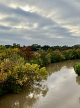 Houston Street Mural "Vibrant street mural in Houston depicting colorful abstract designs, adding an artistic touch to the urban landscape."