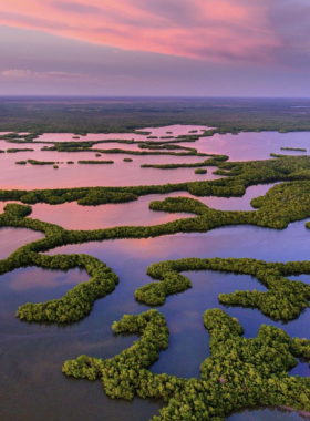 Miami_Beach_Nightlife Dynamic image capturing the nightlife scene in Miami Beach, featuring lively crowds, neon lights, and vibrant energy that showcases the city's reputation as a top party destination.
