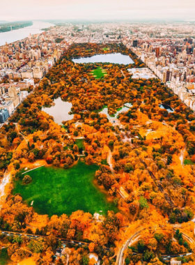 New_York_Public_Library_Entrance The grand entrance of the New York Public Library with its neoclassical architecture, iconic lion statues, and cultural significance.