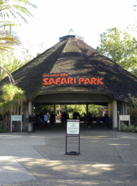 Entrance to the San Diego Zoo Safari Park, featuring lush landscaping and welcoming signs. The image captures the natural ambiance of the park, which offers immersive safari experiences and a wide range of exotic animals. The Safari Park is renowned for its conservation efforts and unique wildlife habitats.