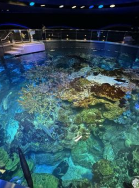 Cheers Bar, Boston Cheers Bar in Boston, famous as the inspiration for the television show "Cheers." The image captures the cozy pub entrance, inviting visitors to experience a piece of TV history and Boston’s pub culture.