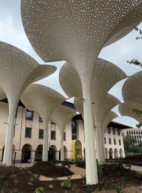Nighttime view of a lively street in Austin: A bustling street scene in Austin at night, illuminated by colorful lights from restaurants and bars. People can be seen enjoying the vibrant nightlife, showcasing the city’s lively atmosphere.