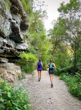Barton Creek Greenbelt trail during spring: A scenic view of the Barton Creek Greenbelt, featuring lush greenery along the trail. Hikers and nature enthusiasts can be seen enjoying the outdoors amidst vibrant foliage and rocky terrain, with sunlight filtering through the trees.