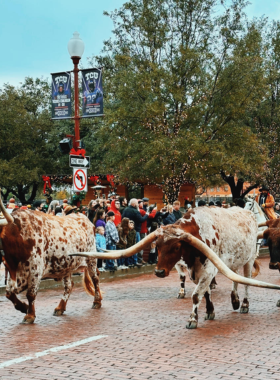 Dallas_Cityscape_Skyline_View.jpg "Scenic view of the Dallas cityscape with notable buildings and landmarks under a bright sky, providing a sweeping perspective of the skyline."