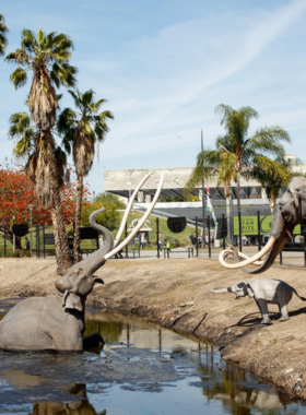 The La Brea Tar Pits in Los Angeles, featuring a fossil excavation area with natural tar seepage, highlighting a prehistoric landmark.&rdquo;