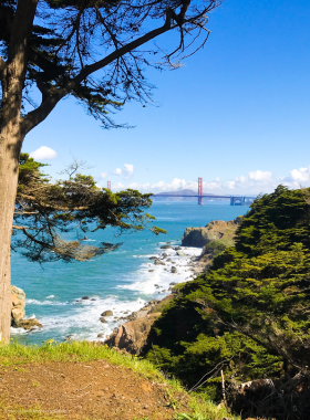 Scenic_Countryside_View.jpg A breathtaking scenic view featuring rolling hills, lush greenery, and a winding road. The landscape is dotted with wildflowers, and the sky is filled with fluffy clouds, creating a picturesque countryside setting.