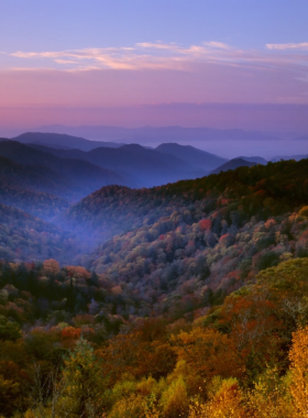 Smoky_Mountains_National_Geographic.jpg A breathtaking image from National Geographic highlighting the stunning landscape of the Smoky Mountains. The image captures the majestic peaks and vibrant foliage, showcasing the natural beauty of this iconic region.