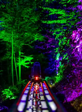 Moonshine_Coaster_Night_Lights.jpg A vibrant view of the Moonshine Coaster illuminated by colorful lights at night. The thrilling coaster tracks weave through the trees, creating an exciting ambiance for night-time fun in Gatlinburg.