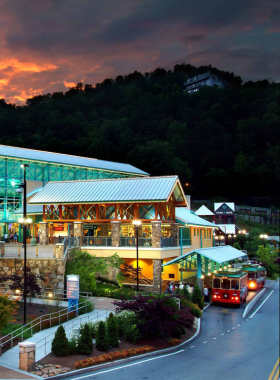 Ripley's Aquarium at Night A stunning view of Ripley's Aquarium in Gatlinburg at night, beautifully lit against the dark sky. The aquarium's colorful exterior draws attention, highlighting the allure of this family-friendly attraction.