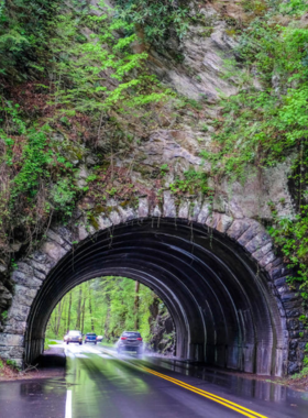 Bote Mountain Tunnel A scenic view of the Bote Mountain Tunnel, surrounded by towering trees and lush foliage. The image captures the beauty of the Smoky Mountains and the enchanting journey through this iconic landmark.