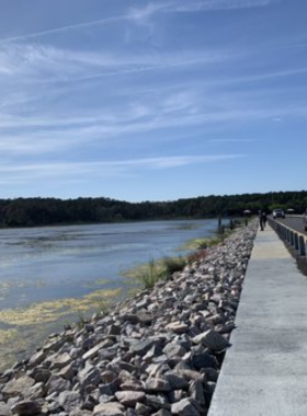 Myrtle_Beach_Crowd_Ripley_Aquarium A bustling scene at Ripley’s Aquarium in Myrtle Beach, with visitors observing marine life through the glass walls. The aquarium’s Dangerous Reef exhibit features a variety of sea creatures in a captivating underwater environment.