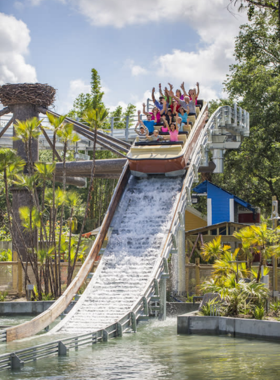 African Elephants at ZooTampa A group of majestic African elephants at ZooTampa, with one elephant gently touching a tree while visitors watch from a safe distance, learning about wildlife conservation.
