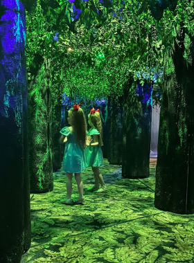 butterfly-palace-branson.jpg" "This image shows that The Butterfly Palace in Branson is a tropical indoor garden filled with colorful butterflies and educational rainforest exhibits."