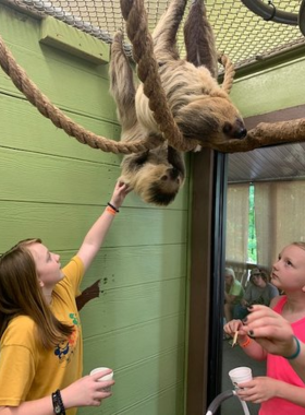 promised-land-zoo-branson.jpg" This image shows that Promised Land Zoo in Branson offers a safari experience, animal feedings, and close encounters with a variety of wildlife."