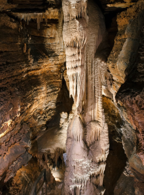 "talking-rocks-cavern.jpg" "This image shows that Talking Rocks Cavern in Branson is a unique attraction where visitors can explore beautiful underground rock formations."