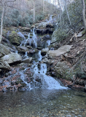 Pisgah National Forest Hiking Trails This image shows a hiker walking along a trail in Pisgah National Forest, surrounded by tall trees and rugged mountains."