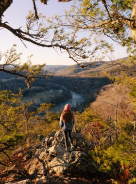 Historic Biltmore Village "This image shows the charming streets of Biltmore Village, with historic stone buildings, boutique shops, and scenic surroundings."