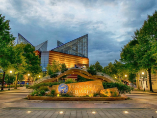 15 Best Things to Do in Chattanooga That You Can't Miss