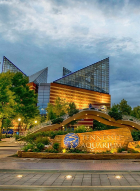 Tennessee Aquarium This image shows the Tennessee Aquarium entrance, with families and visitors exploring the world of marine life. The aquarium's iconic glass structure is visible, symbolizing its role in Chattanooga's riverfront.