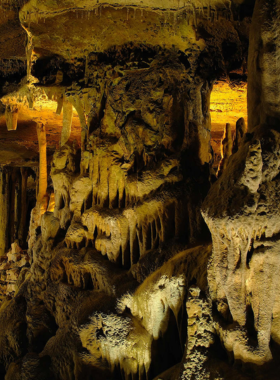 Raccoon Mountain Caverns This image shows a tour inside Raccoon Mountain Caverns, with limestone formations illuminated by soft lighting. It captures the beauty and intrigue of Chattanooga’s natural caves.