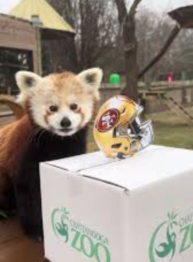 Chattanooga Zoo This image shows the entrance to Chattanooga Zoo, where families are exploring. The zoo is home to over 200 species, emphasizing conservation and education about wildlife.