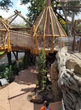 5. Saint Louis Zoo Animal Exhibit Image "This image shows a popular exhibit at the Saint Louis Zoo, featuring naturalistic habitats with various animals. Visitors of all ages can observe wildlife from around the world, making it a fun and educational attraction for families."