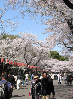 ueno-park-sakura-cherry-blossoms.jpg This image shows Ueno Park in Tokyo, with beautiful cherry blossoms (sakura) in full bloom. Visitors are seen enjoying the spring season, picnicking under the pink flowers, and taking in the natural beauty. The park is a popular spot for hanami (cherry blossom viewing) during springtime.