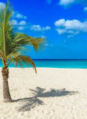 eagle-beach-aruba-relaxation.jpg This image shows that Eagle Beach in Aruba is a peaceful and serene beach, offering soft white sand, shallow waters, and the iconic Divi Divi trees, ideal for sunbathing and relaxation.