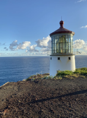 Makapu’u Point Lighthouse Trail This image shows hikers walking along the Makapu’u Point Lighthouse Trail, with stunning views of the ocean and rugged cliffs. The trail leads to the historic lighthouse, offering beautiful scenery and bird-watching opportunities.