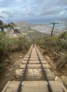 Koko Crater Railway Steps This image shows the steep steps of the Koko Crater Railway, with determined hikers making their way to the summit. The challenging hike rewards with breathtaking views of Oahu’s coastline and lush landscapes.