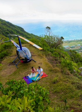 Helicopter Tour Over Oahu This image shows a helicopter soaring above Oahu, offering breathtaking aerial views of Diamond Head, Waikiki Beach, and the island’s lush landscape. The helicopter provides a unique perspective of the island’s natural beauty.