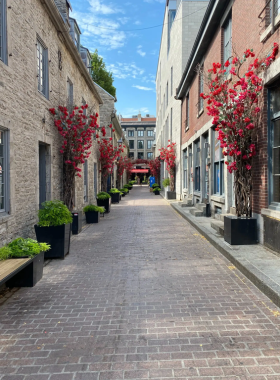 Old Montreal Cobblestone Streets This image shows the charming cobblestone streets of Old Montreal, lined with historic buildings and lively cafes, offering a glimpse into the city's rich past.