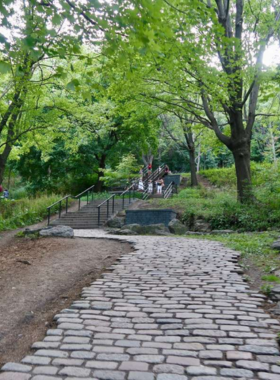 View from Mount Royal Summit This image shows the breathtaking view from the summit of Mount Royal, overlooking Montreal’s skyline and vast green parks, making it a popular spot for both locals and tourists.