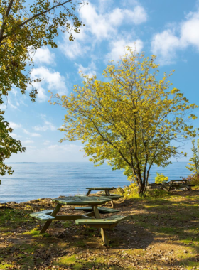 Cap-Saint-Jacques Nature Park Winter Activities This image shows the winter activities at Cap-Saint-Jacques Nature Park, where visitors can enjoy cross-country skiing and peaceful walks in the snow-covered forest trails.