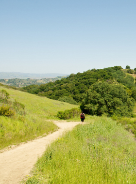 almaden-quicksilver-county-park-hiking-trails "This image shows hikers enjoying scenic views along the trails of Almaden Quicksilver County Park, with lush greenery and remnants of historic mercury mines in the background, perfect for outdoor enthusiasts."