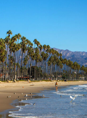 east-beach-santa-barbara-relaxation This image shows that East Beach in Santa Barbara offers a peaceful environment with sandy shores, perfect for unwinding, enjoying the sun, and taking in the stunning ocean views.