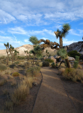 Joshua Tree National Park This image shows the unique rock formations and iconic Joshua trees at Joshua Tree National Park, with a vibrant desert landscape under a clear blue sky, perfect for hiking and stargazing.