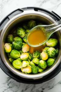 Adding to Instant Pot with Broth